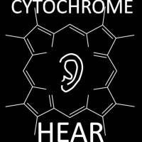 cytochrome_hear_presents_logo_600x600.jpg