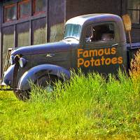 famous_potatoes_logo_600x600.jpg