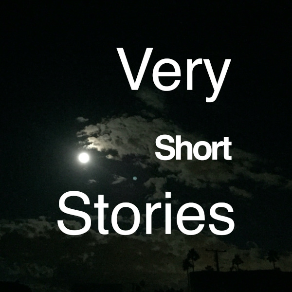 very_short_stories_logo_600x600.jpg