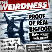 weirdness_logo_600x600.jpg weirdness_logo_600x600.jpg